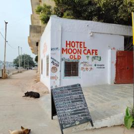 Hotel Old Moon Cafe, ξενοδοχείο σε Pushkar