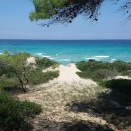 Maya's House at Sani