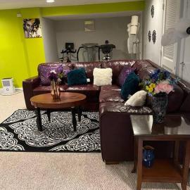 LOVELY 2 BEDROOMS APPARTEMENT, LAUNDRY/PARKING/TV: Silver Spring şehrinde bir otel