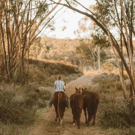 San Diego Trail Guest Ranch, hotel a Poway