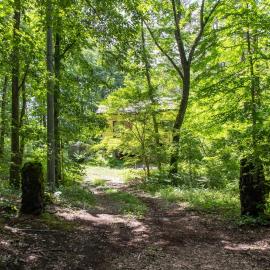 Mori no Komei campsite - Vacation STAY 04454v