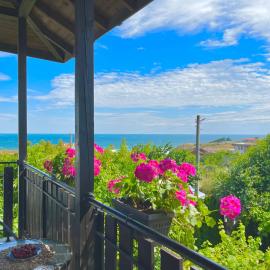 Villa Dimi, hotel a Sinemorets
