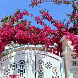 Apartment sleeps 4 in a villa 100m from the sandy sea