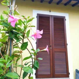 Il Gelsomino