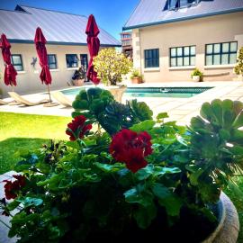 Stoneridge farm, hotel in Plettenberg Bay
