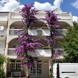 Apartments Cipetic โรงแรมในคาชเตลา