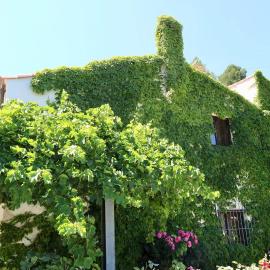 Casas Rurales Cortijo El Marqués, hotel em Quesada