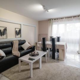 APPARTEMENT ARENA/ GROUPAMA STADIUM/ EUREXPO, מלון בדסינה-שארפיו