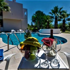 XENOS VILLA 2 with a private pool,near the sea