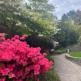 Maison Montello, hotel din Varese