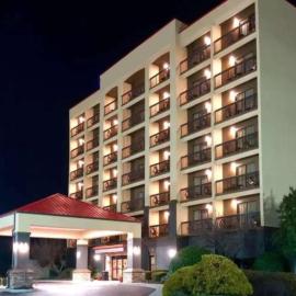Vista Suites Near Island and Leconte Convention Center
