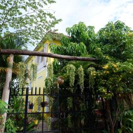 Homestay Yellow Natural House
