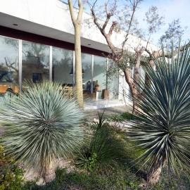 Elegant modern Villa in olive grove, hotel en Surano