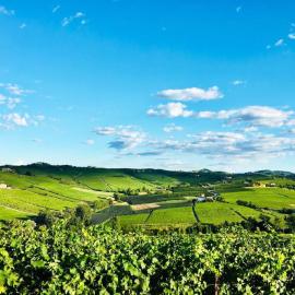 Villa panoramica sulle colline del Monferrato, hotel in Calamandrana