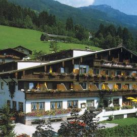 Hotel Schwarzer Adler, hotel in Hippach