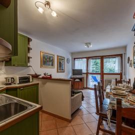 APT PLANIBEL - Comfort sulle piste da SCI - LA THUILE 0086