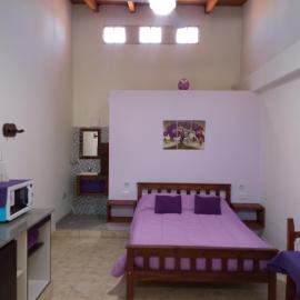 Violeta Monoambiente، فندق في سالتا