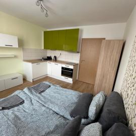 Private apartment 1km from center、Nivyのホテル