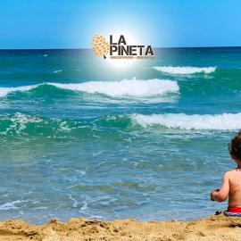 Agricampeggio La Pineta, khách sạn ở Lesina