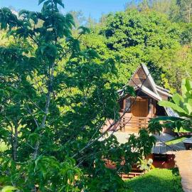 El campo en Jarabacoa