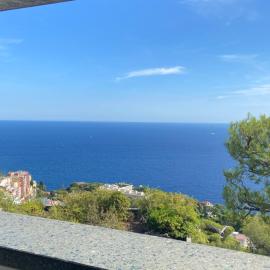 MONACO DOORS 5 Vue Mer, piscine, parking, hotel a Cap d'Ail