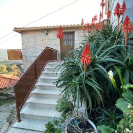 CasaBruno
