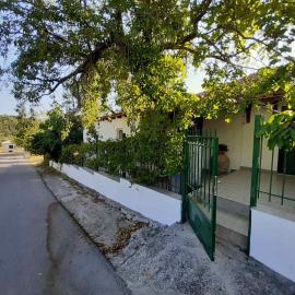 Quiet Agricultural House