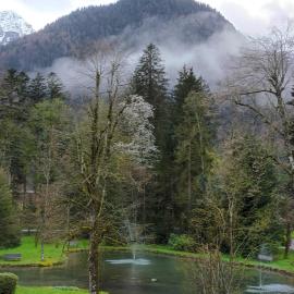 Grubhof Treetops, hotel in Sankt Martin bei Lofer