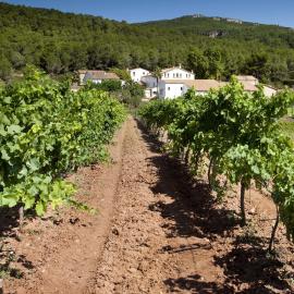 Finca Can Romeu: alojamiento rural entre viñedos