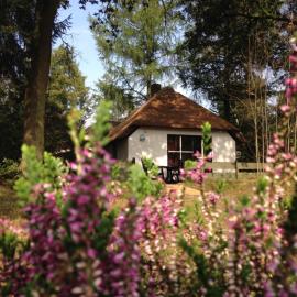 Tiny House de Berken, hotel en Otterlo