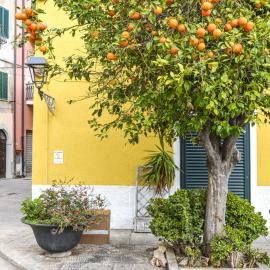 Apartment Il Marinaio by Interhome, Hotel in Rio Marina