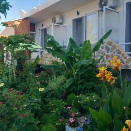 Anemomylos Apartments: Kámpos şehrinde bir otel