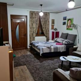 Studio Apartman Ana Doboj - Free secure parking 24-7