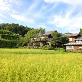 棚田ハウス, Hotel in Murai