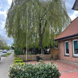 FeWo Oldaus Nestchen