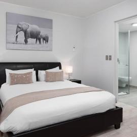 Large and Spacious Apt in De Waterkant next to V&A