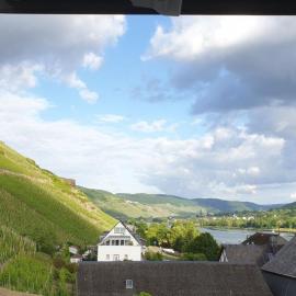 Romantisches Studio 4 Rosenburgblick in Moselnähe, hotel in Zeltingen-Rachtig