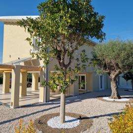 Ro agriMaison, hotel in Volla