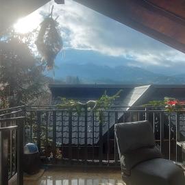 Panoramic House, Hotel in Borsa