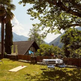 Wild Valley Palm Garden in Valle Onsernone