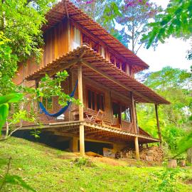 Casa Araucária 2