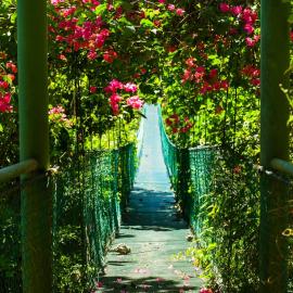 Sunshine Sanctuary Boutique Jungle Lodge, хотел в Монтесума