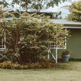 Cabin at Los Titos Coffee Farm, Hotel in Recreo
