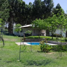 Los Agapantos