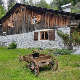 Chalet la corne du chamois, hotel en Sixt