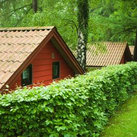 Waldidylle - Bungalows an der Talsperre Kriebstein，Kriebstein的飯店
