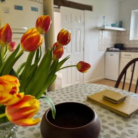 Mulberry Lawn Apartments, hotel in Brading
