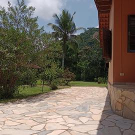 Tropical Paradise