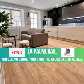 LA PALMERAIE -wifi fibre- centre ville -PROPERTY RENTAL NM, Hotel in Fontenay-le-Comte