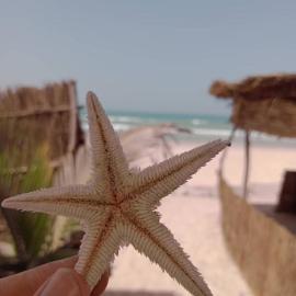 Beach & Sunset villa, hotel in Mboro